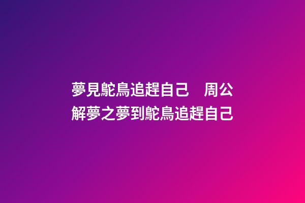 夢見鴕鳥追趕自己　周公解夢之夢到鴕鳥追趕自己